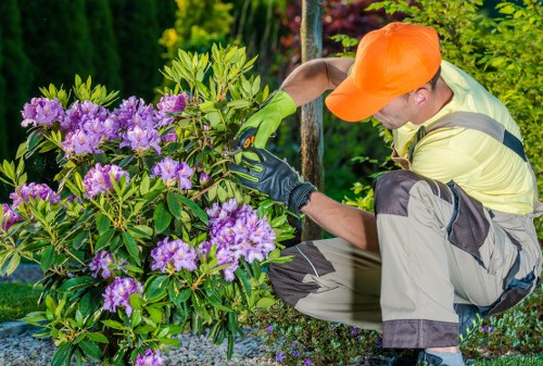 Gardening safety checks before work begins