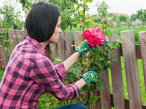 Updated cookie information for Gardeners Chingford visitors