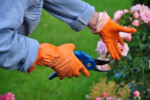 Well-trimmed garden hedge improving kerb appeal in Chingford