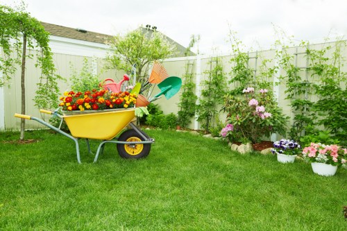 Professional lawn mowing service in Chingford
