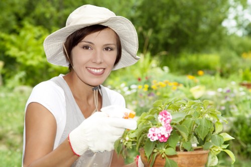 Aeration and patch repair for lawn care in Chingford
