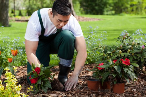 Overgrown garden cleared in Chingford with waste removal