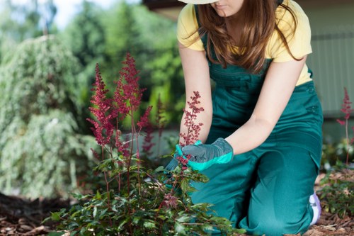 Seasonal garden maintenance tasks in a Chingford outdoor space