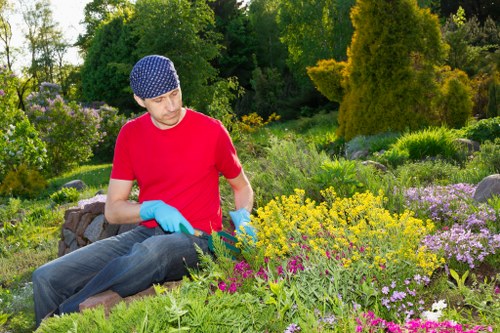 Hedge trimming and plant pruning during garden maintenance in Chingford