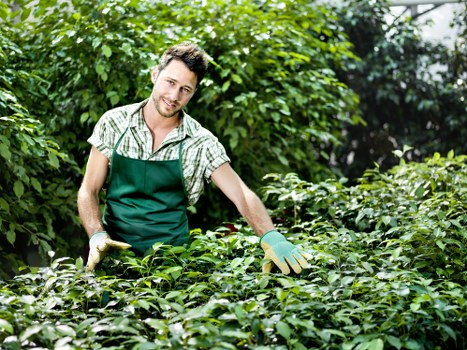Senior review of a gardening complaint