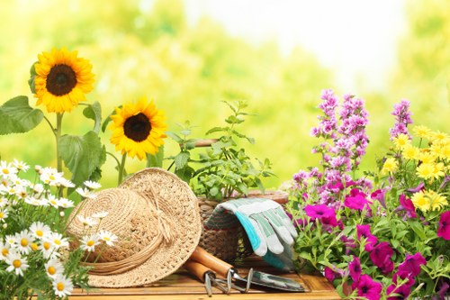 Risk assessment process for garden maintenance in Chingford