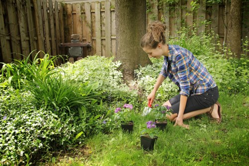 Tidy lawn edges and trimmed grass in Chingford