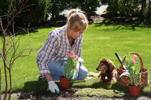 Professional Chingford gardening services for healthy gardens