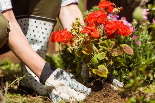 Image depicting safe and flexible payment options for gardeners