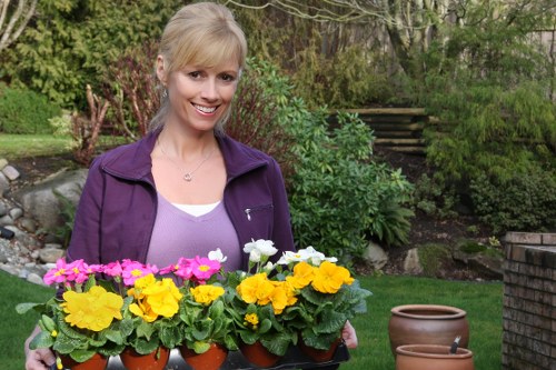 Supplier audit and modern slavery risk review for Chingford gardeners