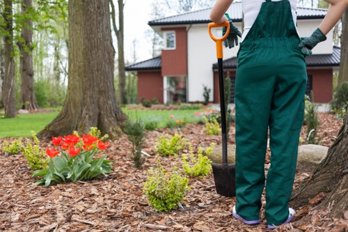 Keyboard navigation support for local gardening services