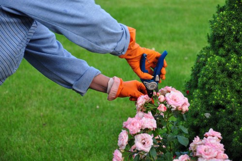 Garden waste and debris removed from a Chingford property