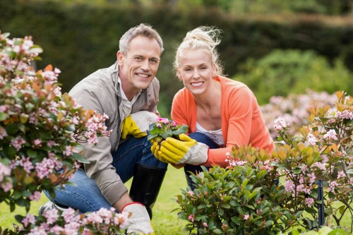 Autumn lawn care and leaf clearing in a Chingford garden