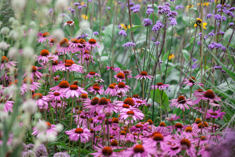 Garden yard